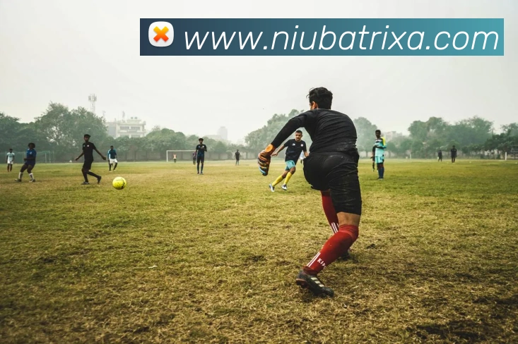 牛八体育平台生态图