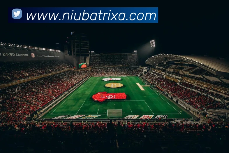 牛八体育APP 封面图